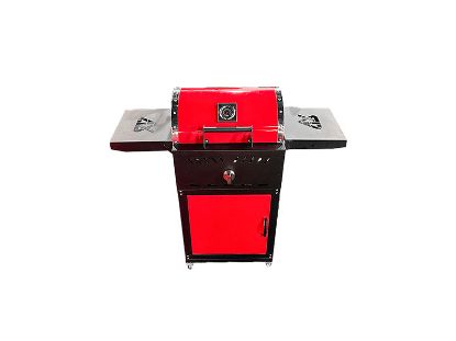 تصویر باربیکیو گازی زغالی با ترمومتر گازاکس پلاس 5040 کابینتی